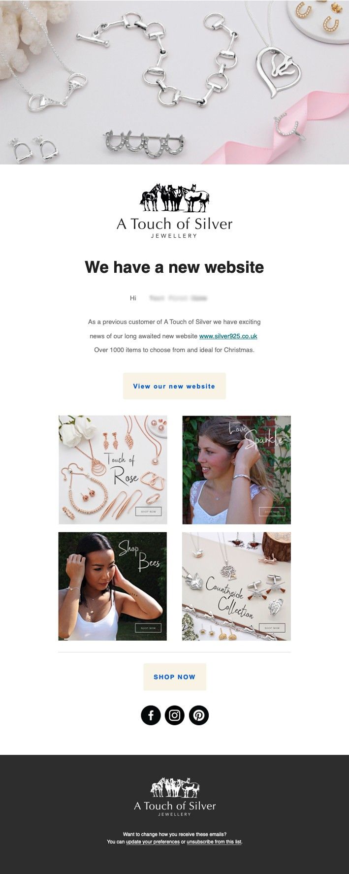 Mailchimp Email Marketing