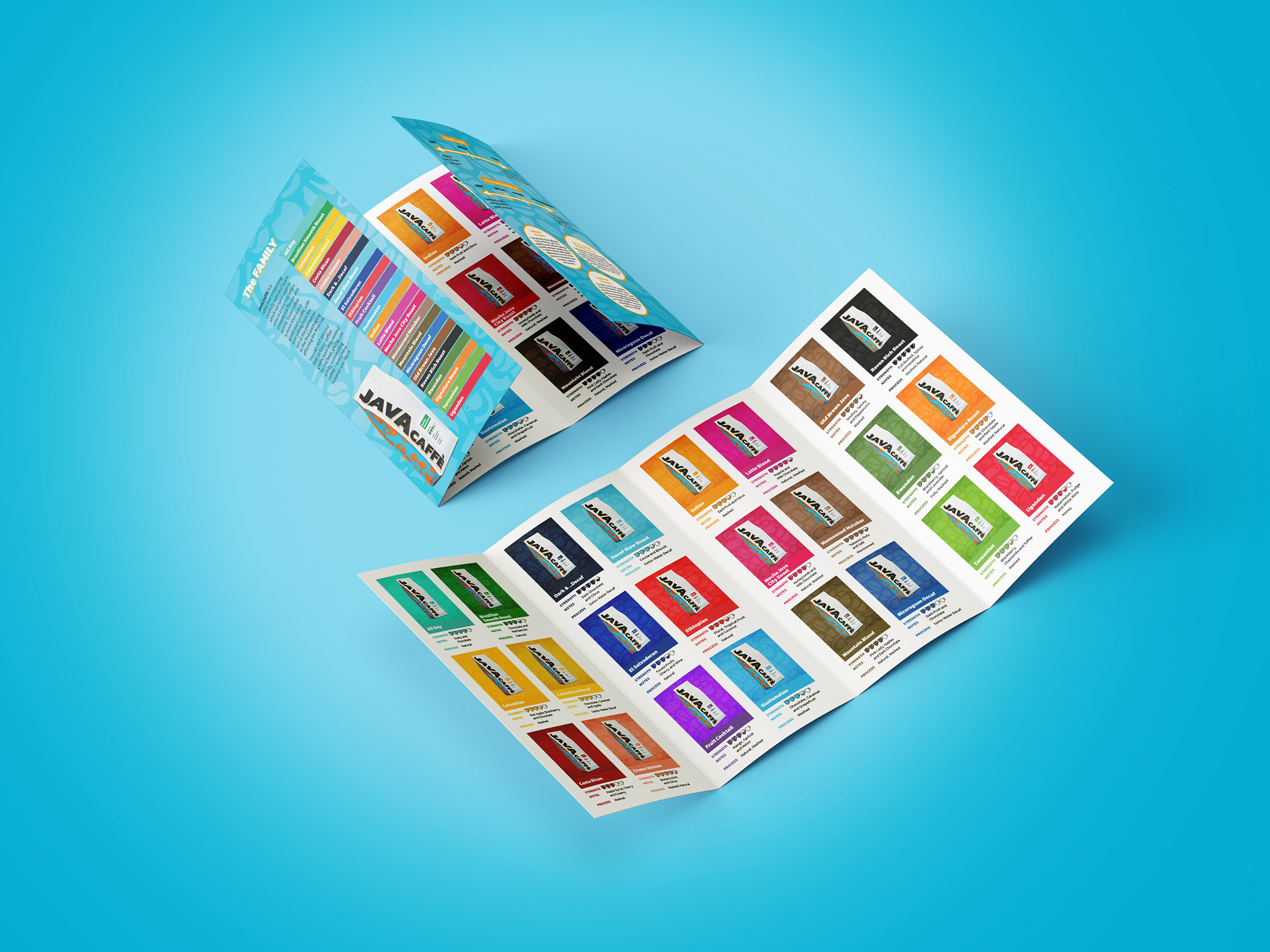 Double Gatefold DL Brochure