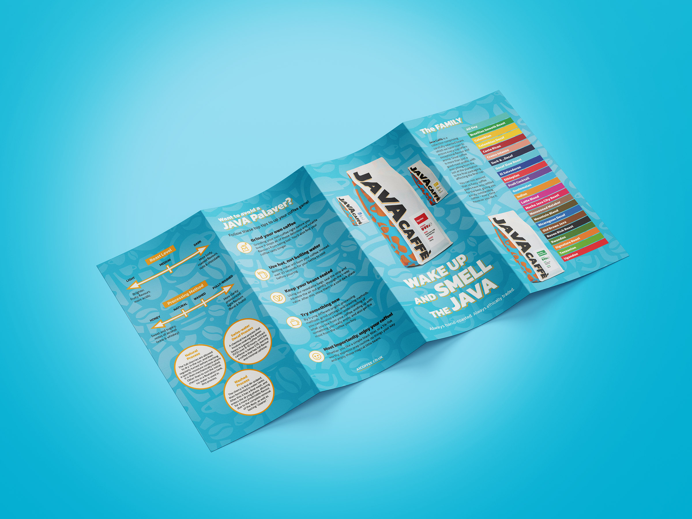 Double Gatefold DL Brochure