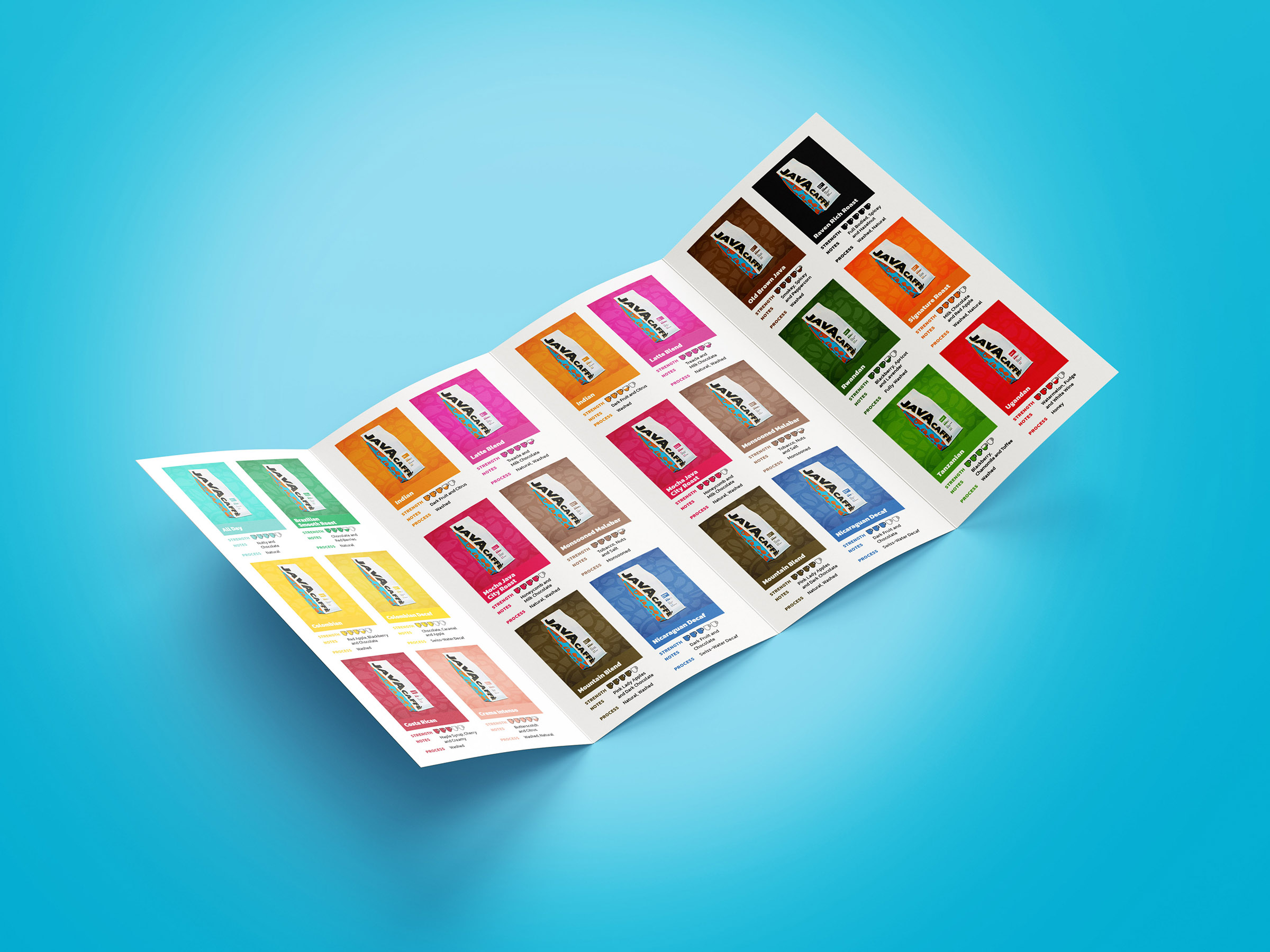 Double Gatefold DL Brochure